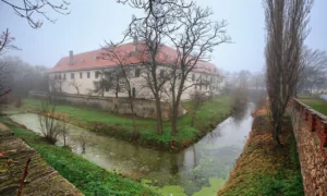 Gebäudereinigung in Hollabrunn