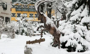 Gebäudereinigung in Mayrhofen
