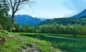 Gebäudereinigung in Nenzing