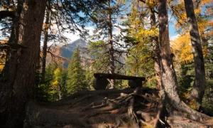 Gebäudereinigung in Rauris