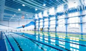Schwimmbad Reinigung – Schwimmbad Reinigung Firma