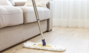 Wohnung Reinigung – Wohnung Reinigung Firma