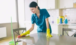 Apartmetreinigung – Apartmetreinigung Firma