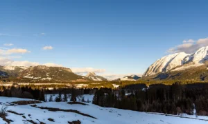 Gebäudereinigung in Bad Mitterndorf