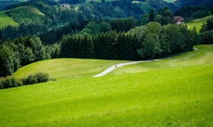 Gebäudereinigung in Bad St. Leonhard im Lavanttal