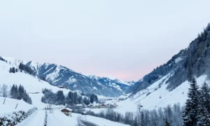 Gebäudereinigung in Großarl