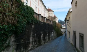 Gebäudereinigung in Großraming