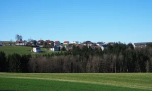 Gebäudereinigung in 12. Linz Neue Heimat