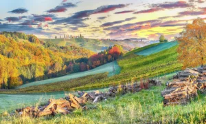 Gebäudereinigung in Neuberg an der Mürz