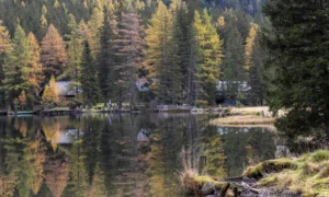 Gebäudereinigung in Neumarkt in der Steiermark