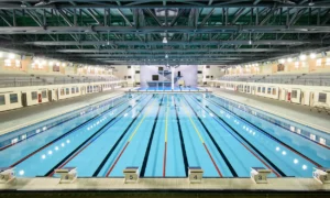Pool Reinigung – Pool Reinigung Firma