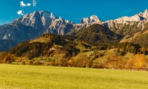 Gebäudereinigung in Saalfelden am Steinernen Meer