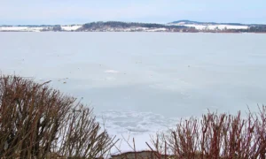 Gebäudereinigung in Salzburg Henndorf am Wallersee