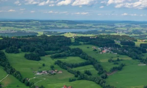 Gebäudereinigung in Salzburg Neumarkt am Wallersee