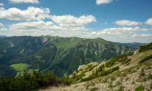 Gebäudereinigung in Sankt Barbara im Mürztal